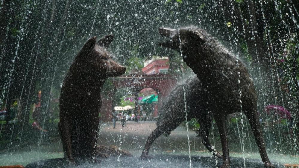 Casa Kalidy Coyoacan Mexikóváros Kültér fotó