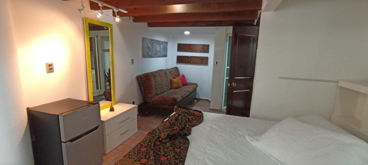 Casa Kalidy Coyoacan Mexikóváros Kültér fotó