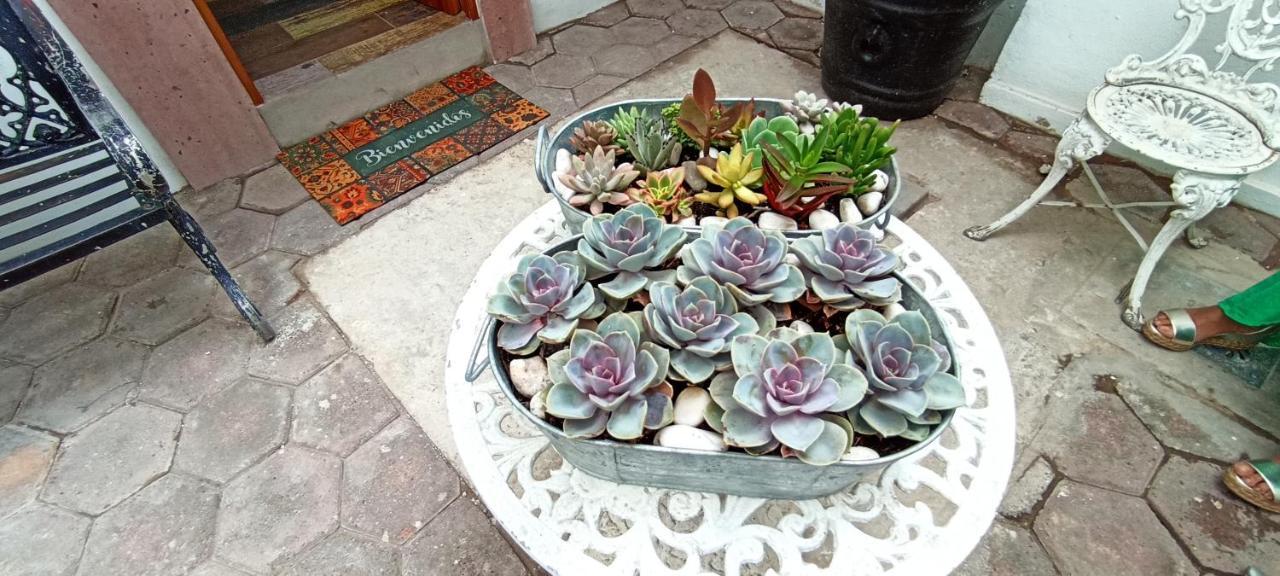 Casa Kalidy Coyoacan Mexikóváros Kültér fotó